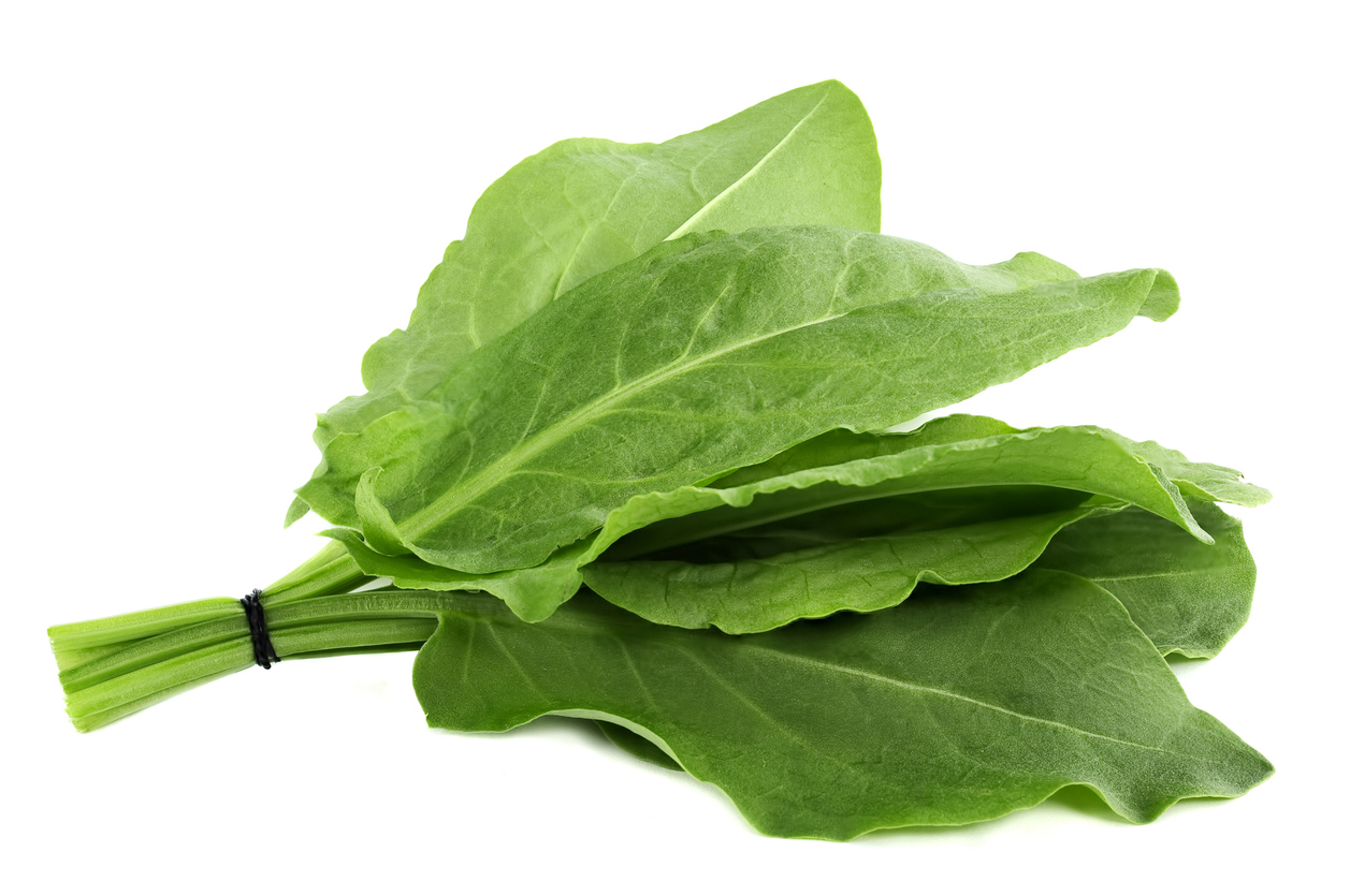 Sorrel leaves