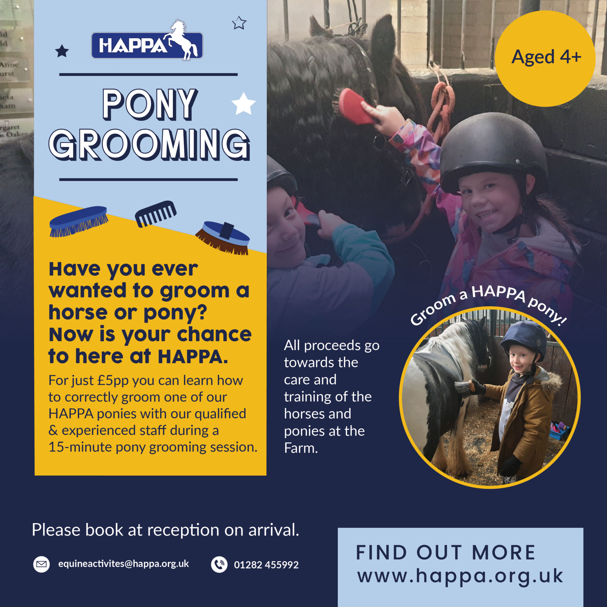 HAPPA Pony Grooming