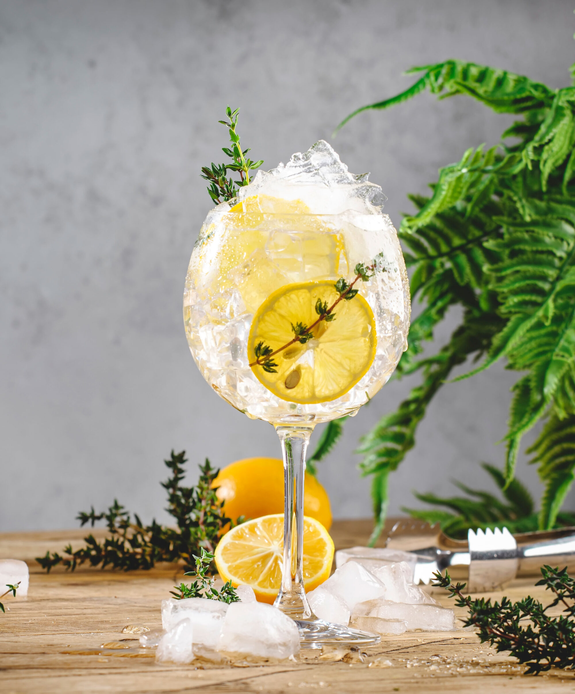 Gin & Thyme Fizz