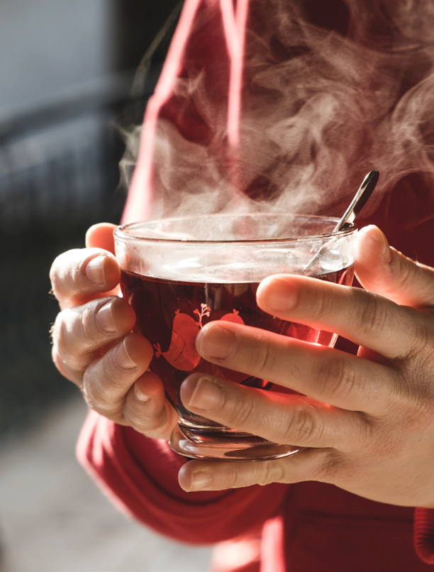 Friendship day winter brew