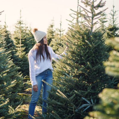 Picking the perfect Christmas Tree