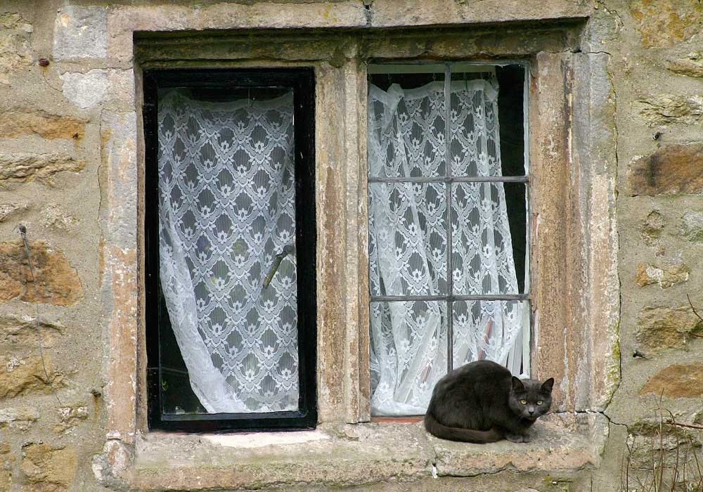 Pendle Cottage Window - Roger Jonstone
