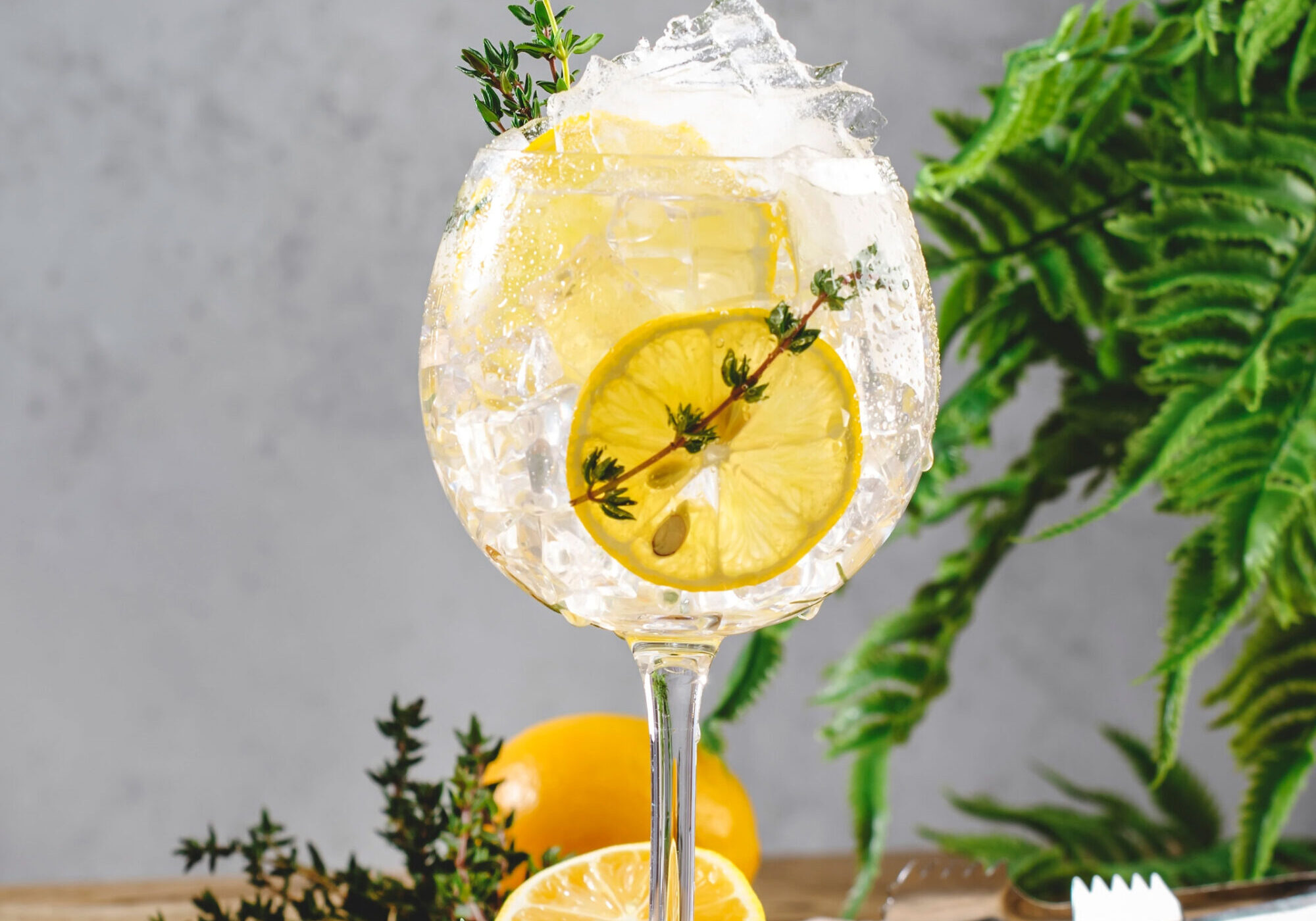 iStock-1428508938 copy Gin & Thyme Fizz