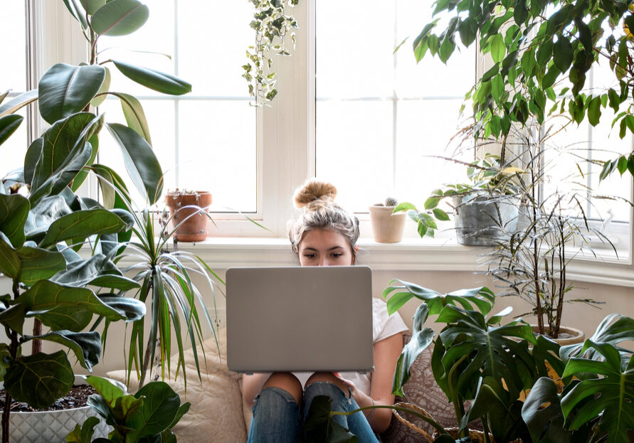 Young girl sitting in a cozy nook by a large bay window with houseplants using laptop computer